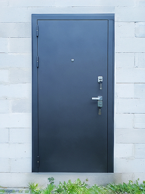 Уличная порошковая дверь