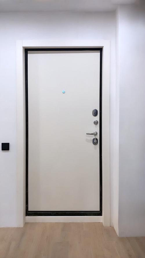 Стальная белая дверь