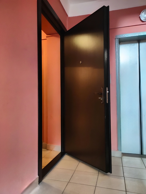 Дверь с порошковым окрасом