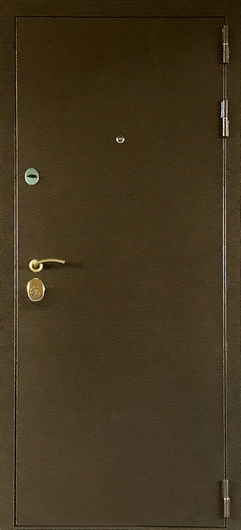 Металлическая дверь в квартиру Металлическая дверь в квартиру